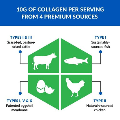 BioTrust Ageless Multi Collagen Peptides Powder – Types I, II, III, V, X – Unflavored Collagen - Maple Wellness Supplements