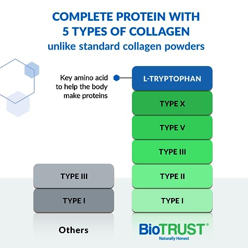 BioTrust Ageless Multi Collagen Peptides Powder – Types I, II, III, V, X – Unflavored Collagen - Maple Wellness Supplements