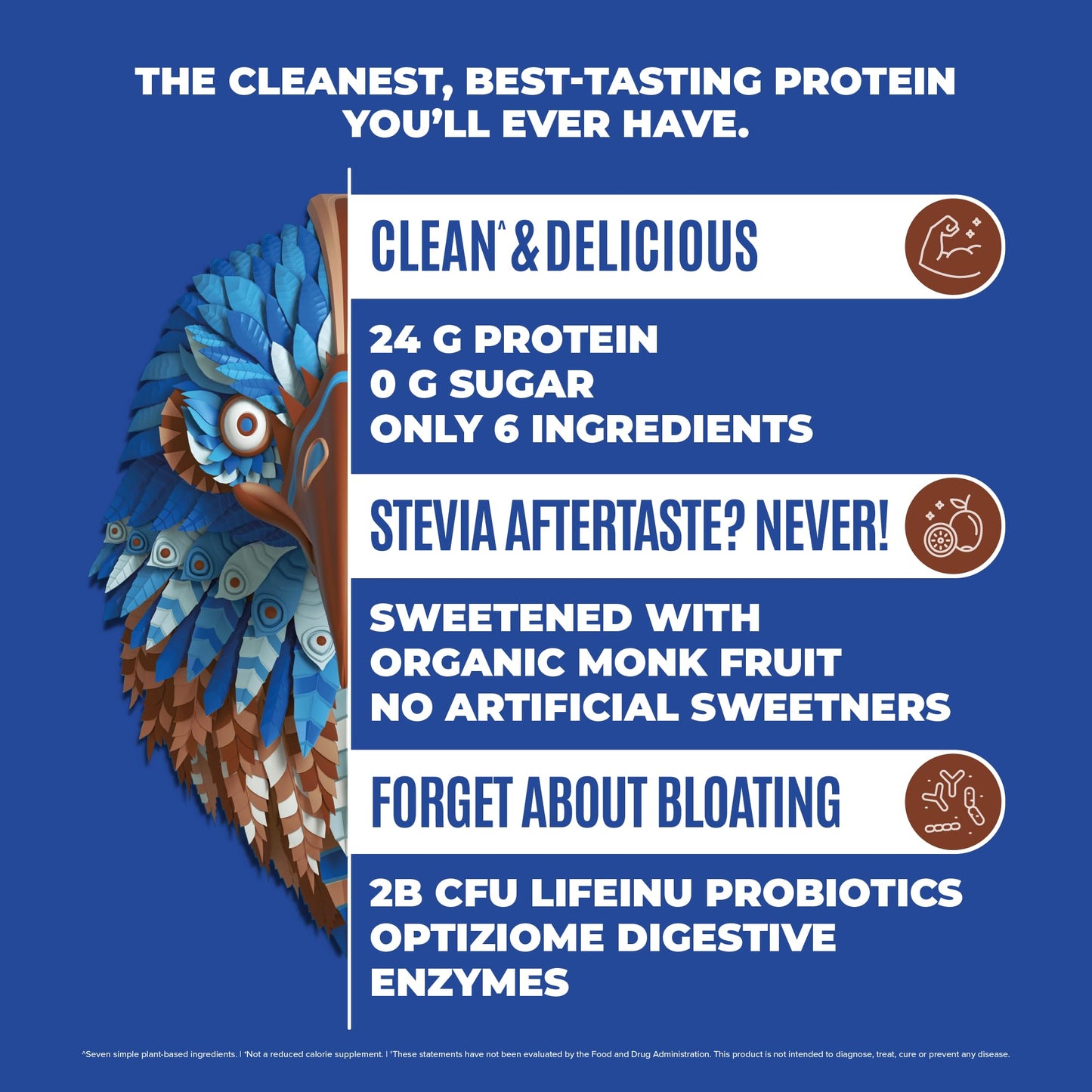 BIRDMAN Falcon Vegan Protein Powder Organic, Stevia & Sugar Free, Plant Based Protein - Maple Wellness Supplements