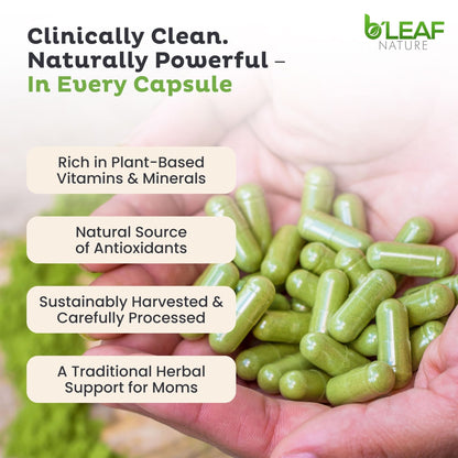 B'Leaf Nature Moringa Capsules Organic 1000mg — Pure Moringa Oleifera Leaf Powder Capsules for Energy & Immune Support - Maple Wellness Supplements