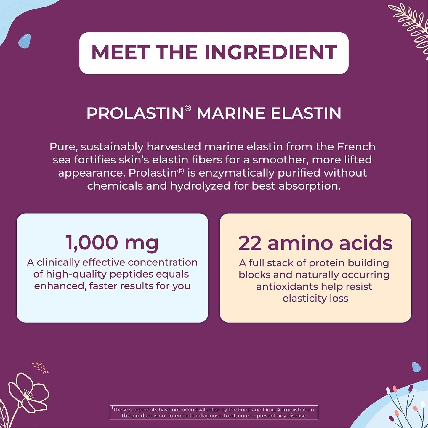 Body Kitchen Pro-Elastin 1000 mg Elastin Supplement, Reduce Signs of Aging, Improved Skin Health, Firmness & Elasticity, Fewer Wrinkles, Veggie Caps (Pack of 3) - Maple Wellness Supplements