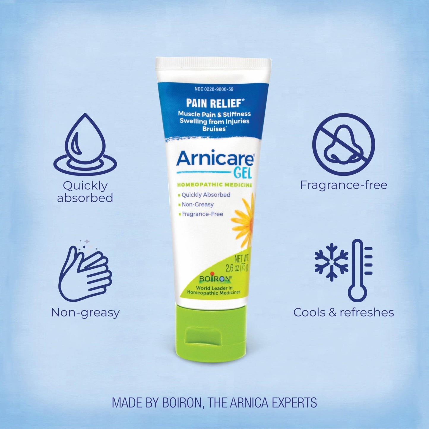 Boiron Arnicare Gel for Joint Pain, Muscle Pain, Swelling, Soreness, and Stiffness - Non-greasy and Fragrance-Free - 2.6 oz - Maple Wellness Supplements
