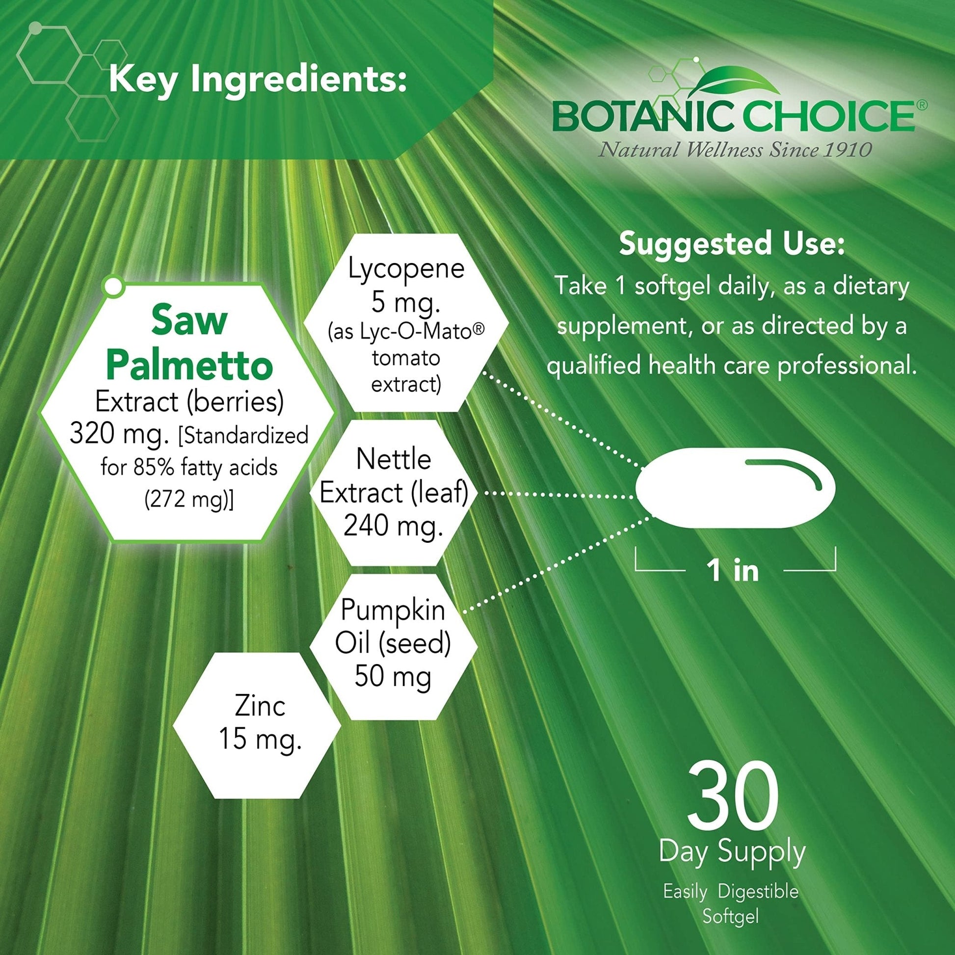 Botanic Choice Mega Fruits and Veggies Blend (60 Capsules) + Prostate 9 Complex (30 Softgels) Bundle - Energy Balance & Superfood Supplement + Urinary Flow & Cellular Health - Maple Wellness Supplements