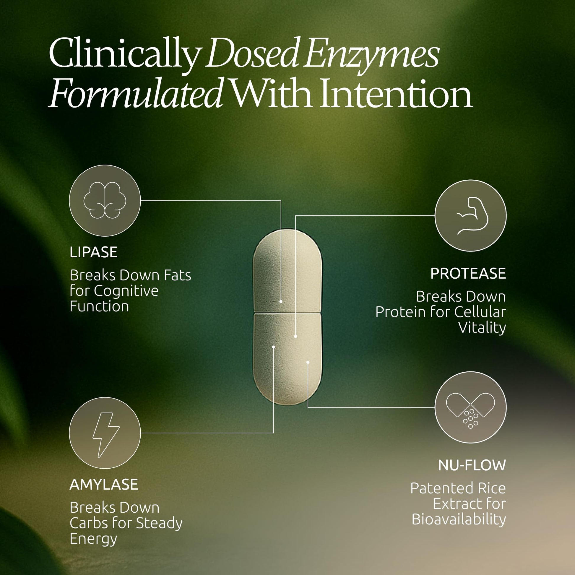 Boulder Bio Digestive Enzymes | 40,000 USP Lipase - Prescription Strength Pancreatic Enzyme Replacement Formula for Fat Digestion, Gut Health & Nutrient Absorption - Maple Wellness Supplements