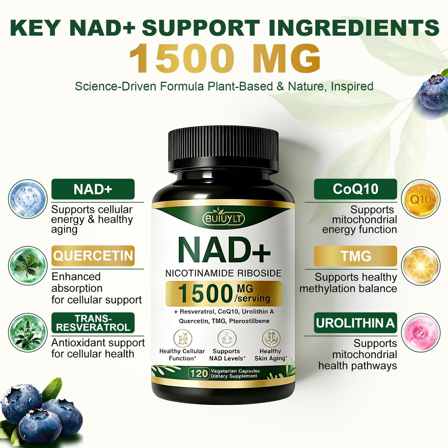 BUIUYLT NAD+ Supplement 1500mg, NR NMN Replacement with Resveratrol, Urolithin A, CoQ10 & Quercetin for Cellular Energy, Healthy Aging & Stamina for Women & Men - 120 Capsules - Maple Wellness Supplements