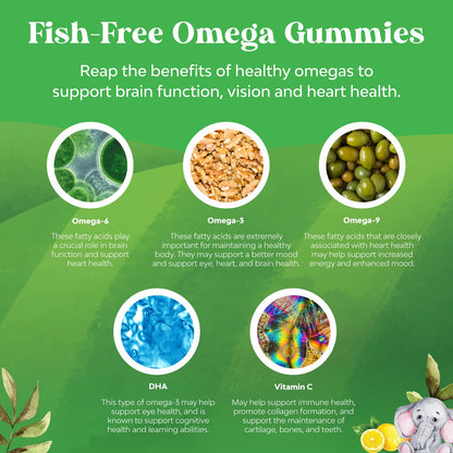 Bundle of Kids DHA Omega 3 Gummies - Fatty Acids Omega 3 6 9 for Brain Immune Strength Vision Focus Support and Liquid Multivitamin for Kids Immunity Support - Maple Wellness Supplements