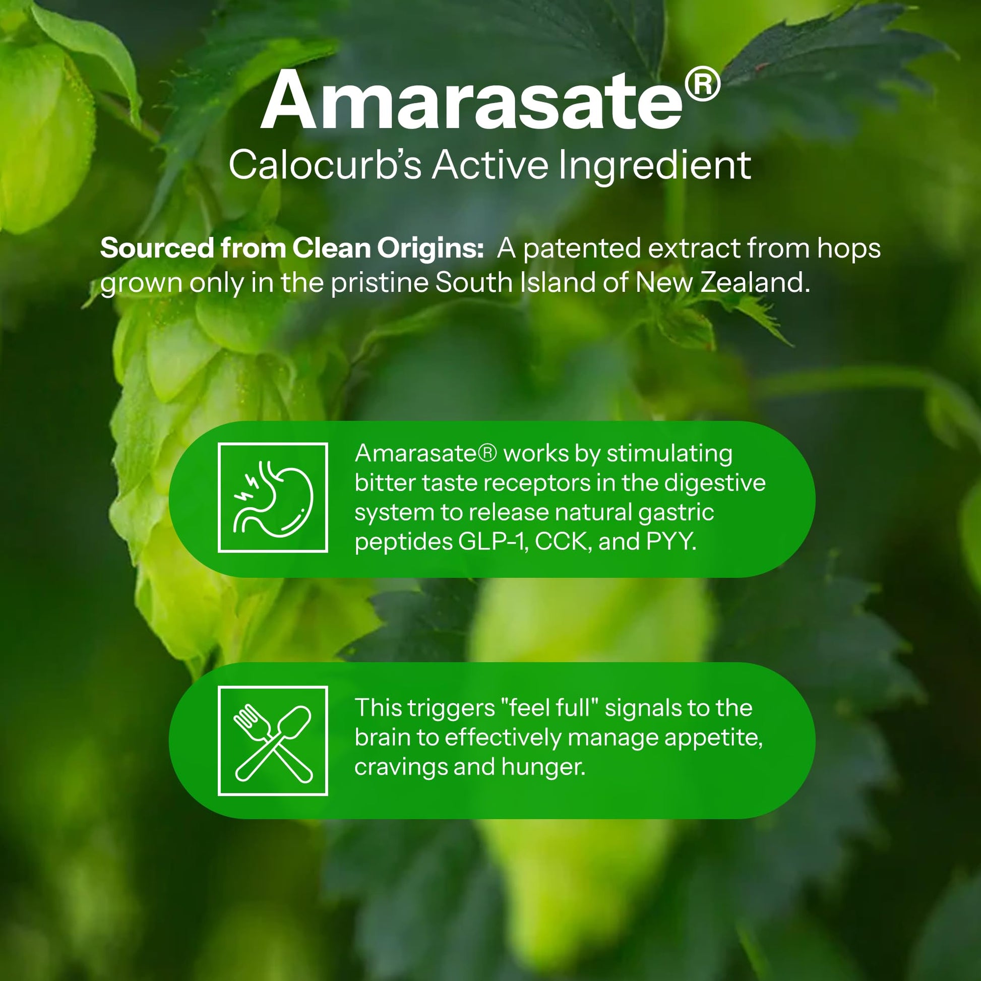 Calorie Control Supplement 6X Natural Support, Official & Patented Amarasate Formula, Plant Based Dietary GLP1 Supplement, Manages Appetite, Hunger & Cravings, - Maple Wellness Supplements