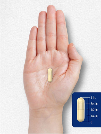 Carlyle Gelatin Capsules | 2160 mg | 250 Pills | with Silica Optimizer | Non-GMO, and Gluten Free Supplement - Maple Wellness Supplements