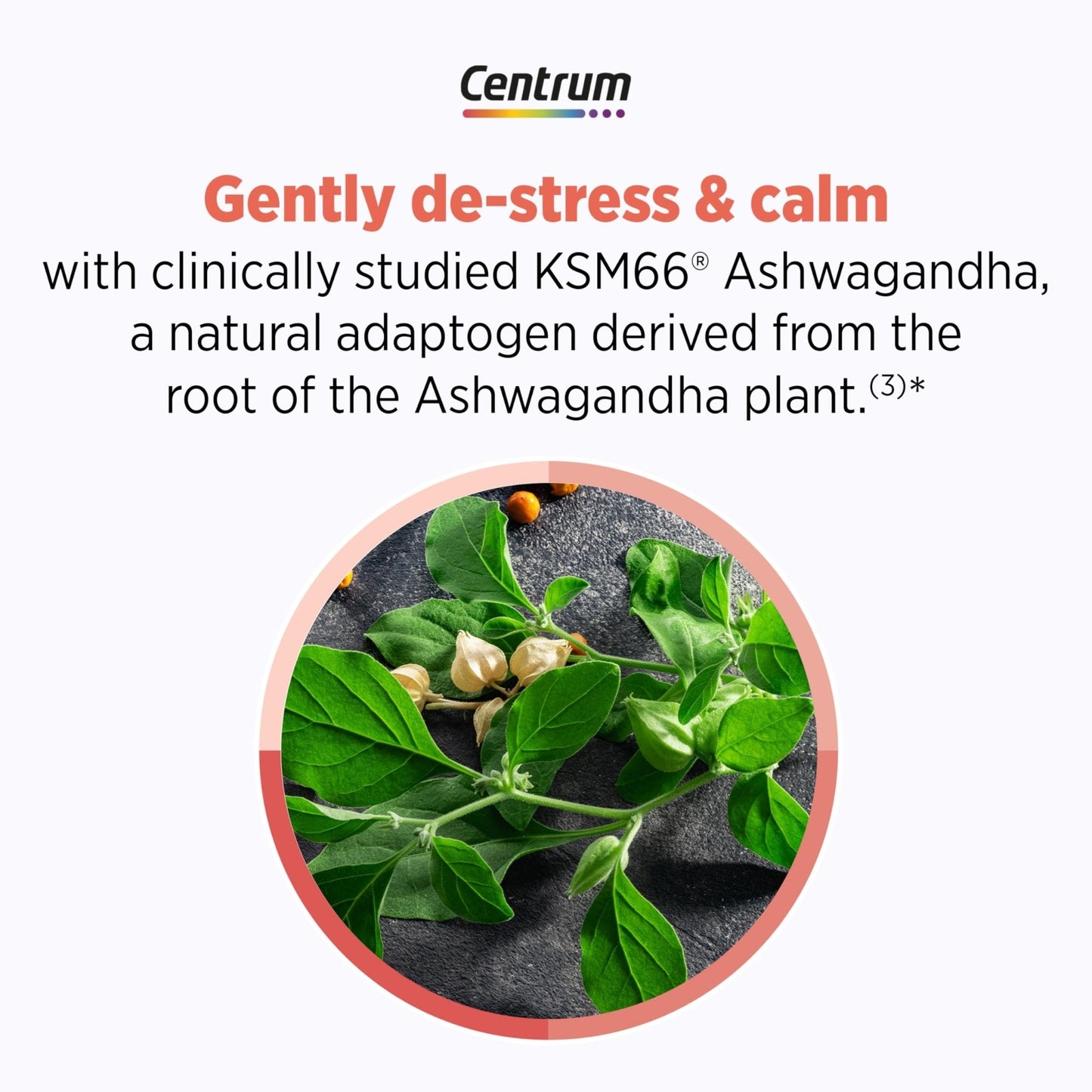 Centrum Clear Mind and Calm Mood Menopause Support Tablets, with Clinically Studied enXtra, 30 Count - Maple Wellness Supplements