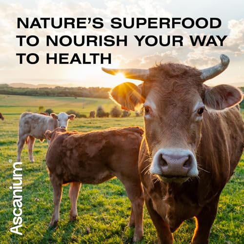 Colostrum Powder - Grass-Fed 40% IgG Colostrum Supplement Powder - Bovine - Maple Wellness Supplements