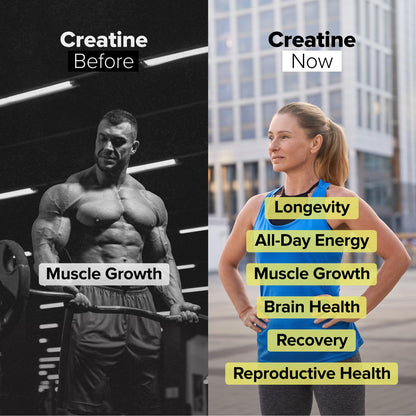Complement Creatine Monohydrate Micronized Powder for Women and Men (5g, 60 Servings) Pre Workout, Post Workout, Muscle Recovery, Brain Health, Longevity- Vegan, Unflavored - Maple Wellness Supplements