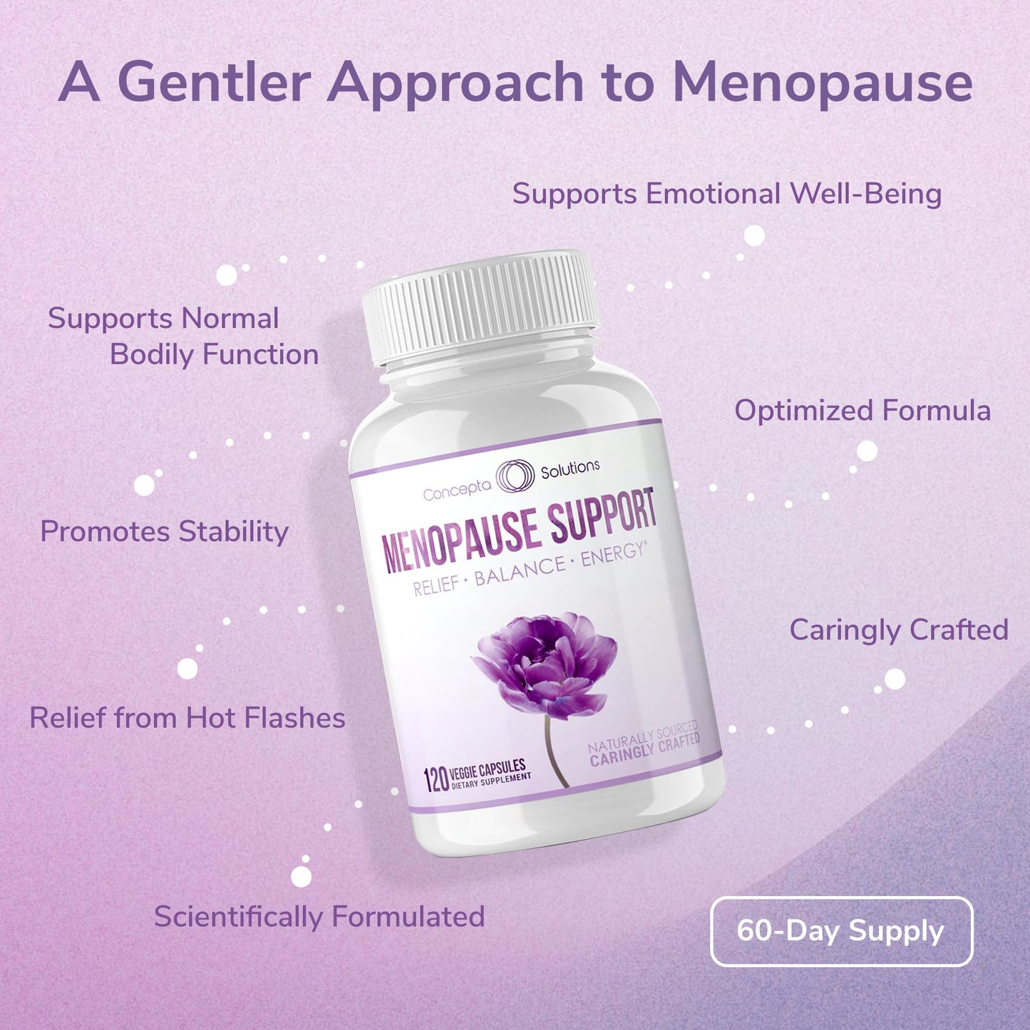 Concepta Solutions Menopause Support - Menopause Relief and Weight Management Support - for Hot Flashes, Night Sweats Relief and Energy - 120 Capsules - Made in USA - Maple Wellness Supplements