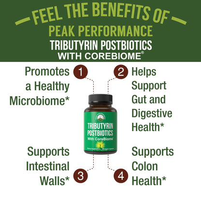 CoreBiome Tributyrin Postbiotic Supplement Clinically Tested for Gut Health. More Effective Than Sodium Butyrate Capsules. High Bioavailability Post Biotics for Digestive, Leaky Gut, Colon, Microbiome - Maple Wellness Supplements