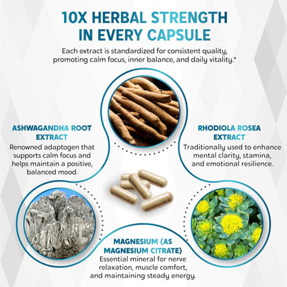 CORTISOL Wellness Ashwagandha 14-in-1 Natural Blend with Phosphatidylserine Magnolia Rhodiola St. John's Wort Peppermint Bacopa - 150 Count - Maple Wellness Supplements