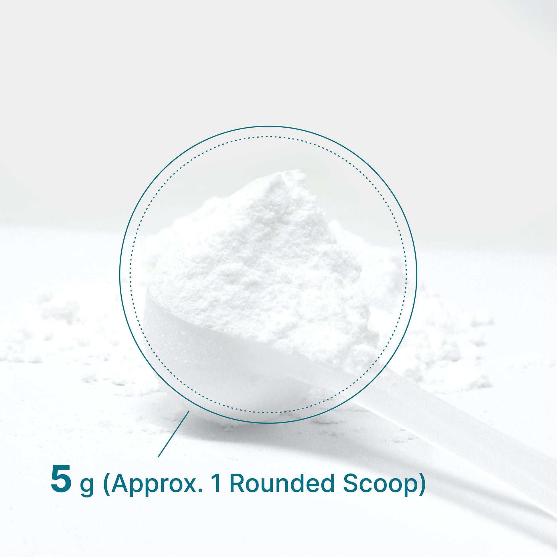 DEAL SUPPLEMENT Instant Creatine Monohydrate Powder, 5g Per Serving – 60 Servings | Micronized, Unflavored, Fast Absorbing Formula - Maple Wellness Supplements