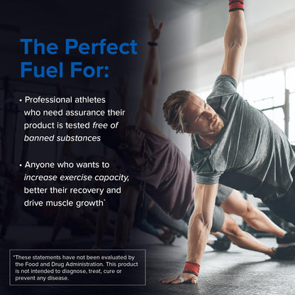 Designs for Sport Micronized Creatine Monohydrate Unflavored Powder - NSF Certified for Sport, 90 Servings, Supports Muscle Recovery, Brain Health, Pre and Post Workout Strength - Maple Wellness Supplements
