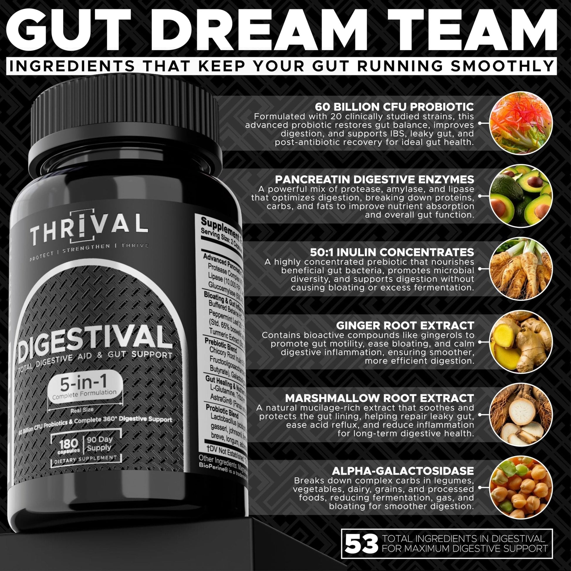 DIGESTIVAL 5-in-1 Gut Health Formula: Probiotics, Prebiotics, Enzymes, Gut Healing & Bloat Relief with 53 Ingredients, 60 Billion CFU, and Advanced Support for IBS, - Maple Wellness Supplements