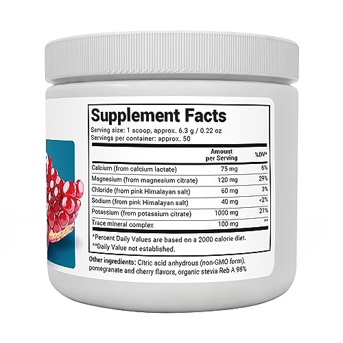 Dr. Berg Hydration Keto Electrolyte Powder - Enhanced w/ 1,000mg of Potassium - Maple Wellness Supplements