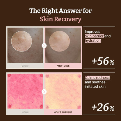 Dr.Reju-All PDRN All-Day Glow Duo: Advanced PDRN Rejuvenating Cream + Advanced PDRN Rejuvenating Mask - Face Moisturizer & Facial Mask for Hydration & Plumping - Korean Skin Care Daily Routine - Maple Wellness Supplements