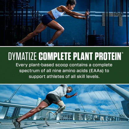 Dymatize Vegan Plant Protein, Creamy Chocolate, 25g Protein, 4.8g BCAAs, Complete - Maple Wellness Supplements