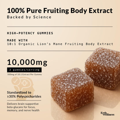 Erth Wellness Lion’s Mane Mushroom Gummies – 10,000mg Fruiting Body Extract per Serving – Brain & Focus Support – Daily Nootropic – Vegan, Low Sugar, Non-GMO – 60 Ct - Maple Wellness Supplements