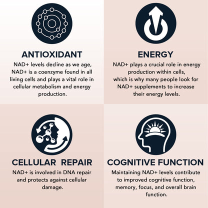 Fabamax 1600 mg Liposomal NAD Supplement, 98% Pure NAD+ Supplement, Superior Absorption, Alternative to Nicotinamide Riboside or NADH to Boost NAD+ for Aging Defense, Energy, Longevity, 120 Softgels - Maple Wellness Supplements