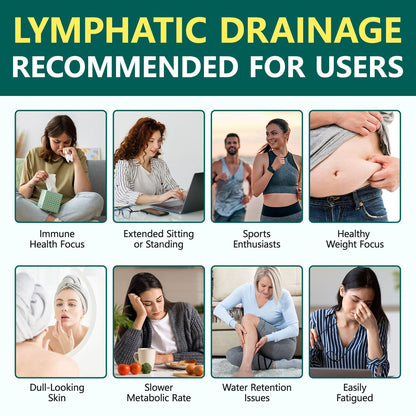 FANSHI Lymphatic Drainage Supplements 240 Softgels | Herbal Blend with Echinacea, Dandelion & Burdock Root | Promotes Healthy Circulation & Fluid Balance | Supports Overall Daily Wellness - Maple Wellness Supplements