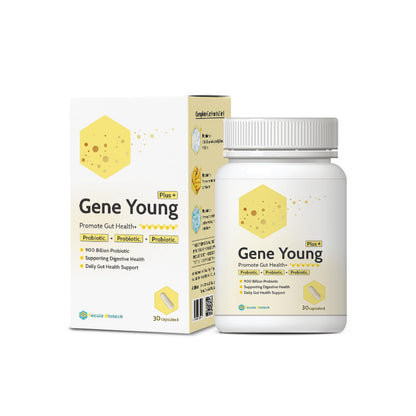 Fecula Biotech Superfood Resistant Starch,Prebiotics Supplement,Bifidobacterium longum - Maple Wellness Supplements