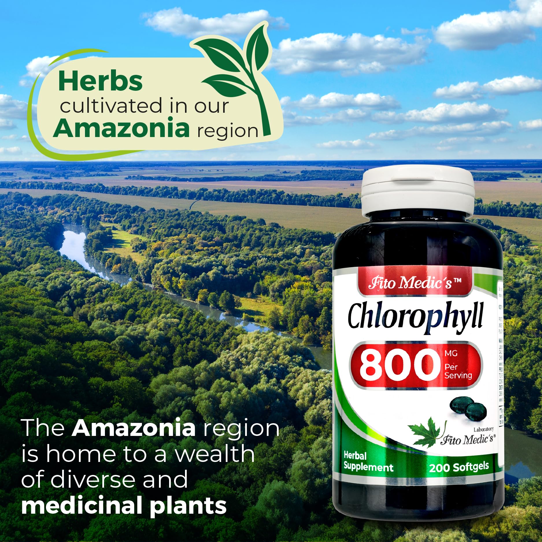 FITO MEDIC'S Lab Chlorophyll Supplement, 200 Softgels, Chlorophyll Capsules - Maple Wellness Supplements
