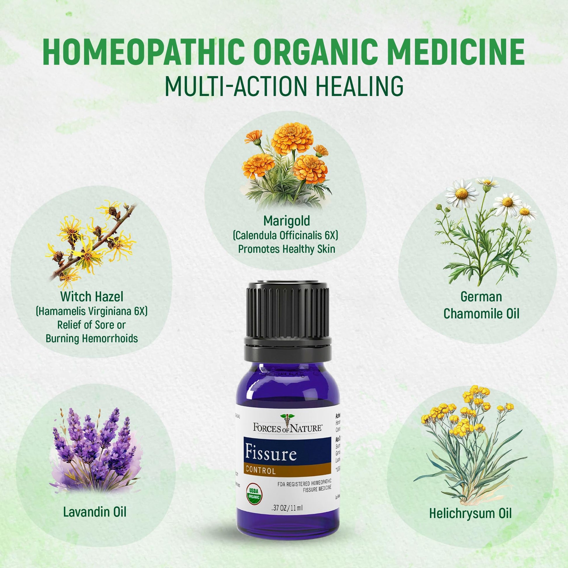 Forces of Nature Fissure Control, Organic Homeopathic Treatment with Witch Hazel for Anal Fissures, Hemorrhoid Related Irritation & Discomfort, Fast, Natural Topical Relief, 1 Fl Oz - Maple Wellness Supplements