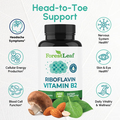 ForestLeaf Vitamin B2 Riboflavin 400mg - Energy, Skin & Cellular Health Supplement - Nervous System Support - Vitamin B 2 VIT B - Non-GMO & Gluten Free - Maple Wellness Supplements
