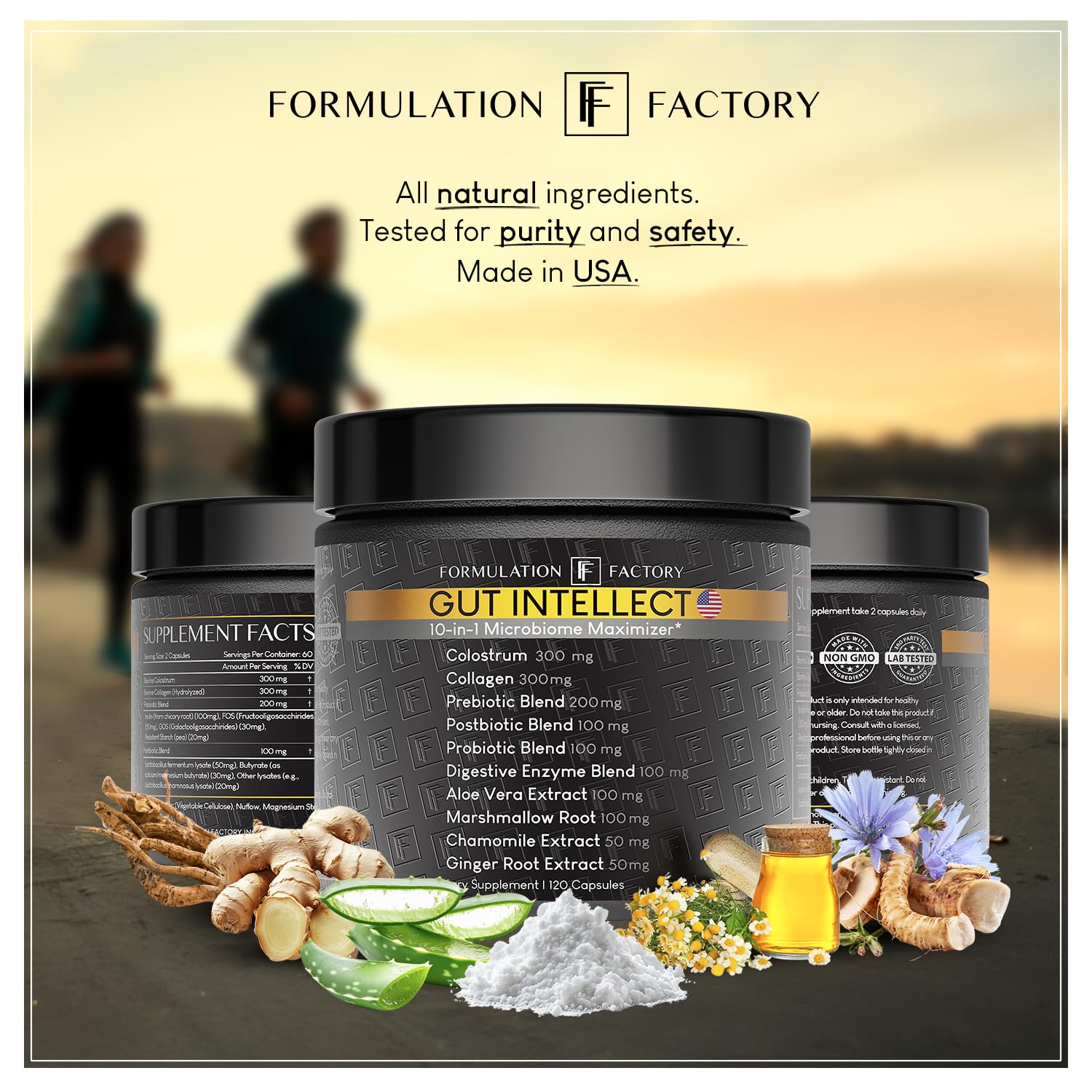 Formulation Factory Probiotics for Women & Men - Gut Intellect 10-in-1 Digestive Enzymes with Prebiotics and Postbiotics - Total Gut Health Supplement - Maple Wellness Supplements