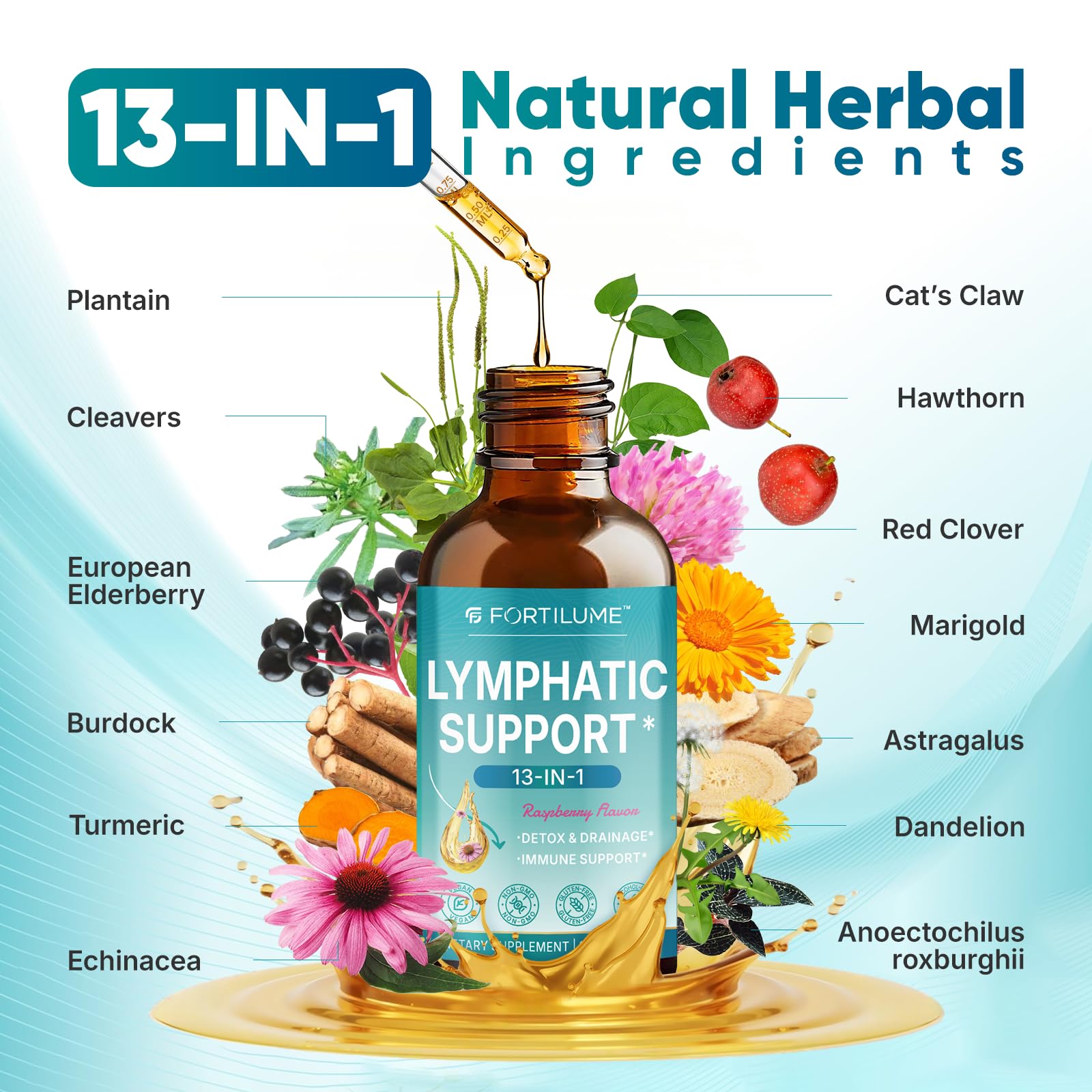 FORTILUME Liposomal Lymphatic Drainage Drops, 13 in 1 Lymphatic Support Drops with Elderberry & Echinacea, Immune & Lymph System Support, Raspberry Flavor, 2 Fl.Oz (30 Servings) - Maple Wellness Supplements