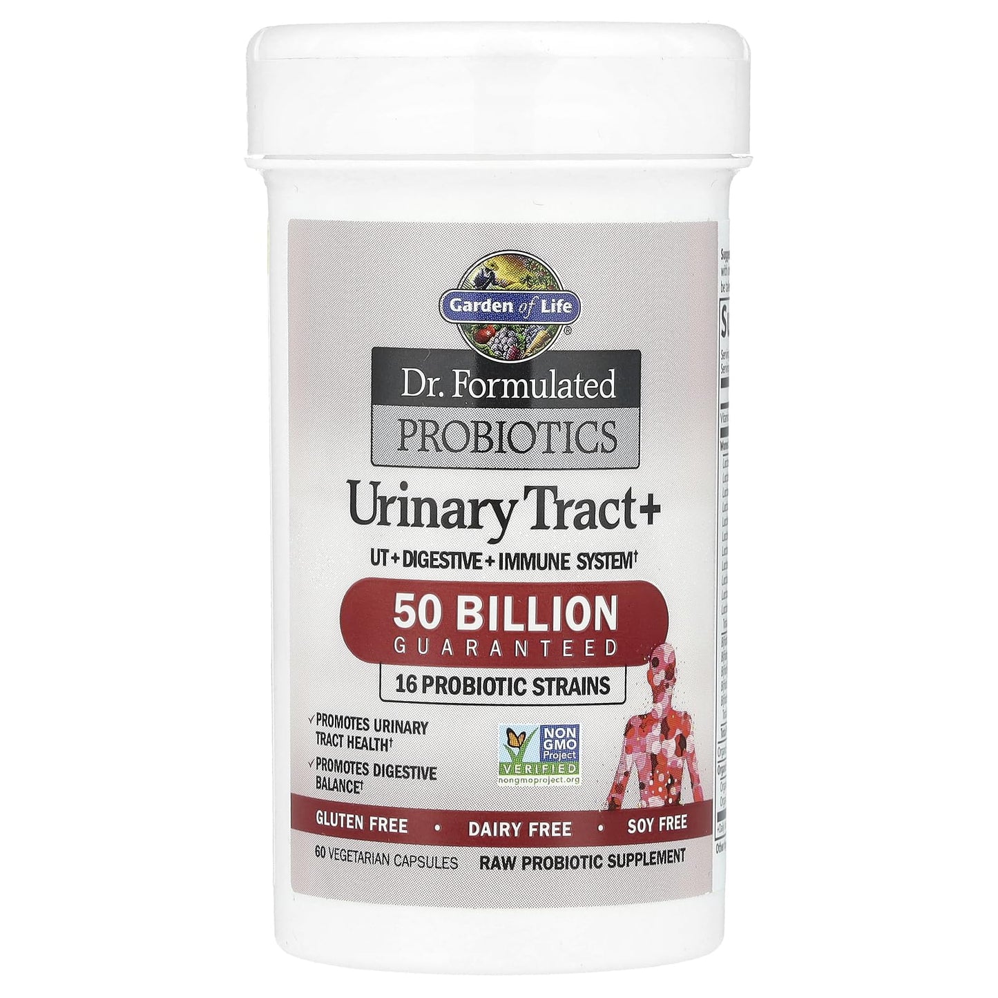 Garden of Life Dr. Formulated Probiotics Urinary Tract+ - 50 Billion CFU - Supports Digestive, Immune & Urinary Tract Health - Maple Wellness Supplements