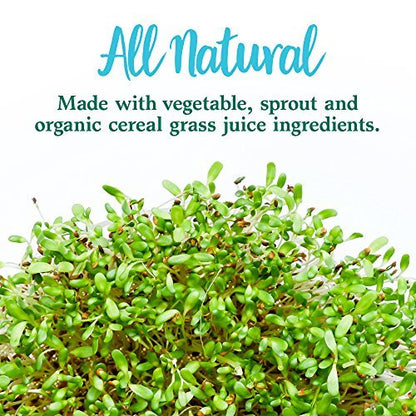 Garden of Life Perfect Food Super Green Formula - 14 Servings | 45 Superfoods, Greens - Maple Wellness Supplements
