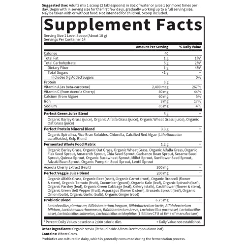 Garden of Life Perfect Food Super Green Formula - 14 Servings | 45 Superfoods, Greens - Maple Wellness Supplements