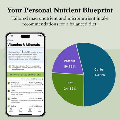 GenoPalate Nutrition DNA Test Kit | 100+ Optimal Foods & Tailored Diet | Genetic Health Report & Personalized Wellness | Macro & Micronutrient Recommendations | Stress & Eating Insights - Maple Wellness Supplements