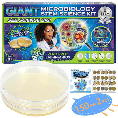 Giant Microbiology Bacteria Science Kit for Kids:2 XL 150mm Prepoured Nutrient Agar Plates, Petri Dishes with Agar & Colony Characteristics Poster for School Projects & Educational Gifts - Maple Wellness Supplements