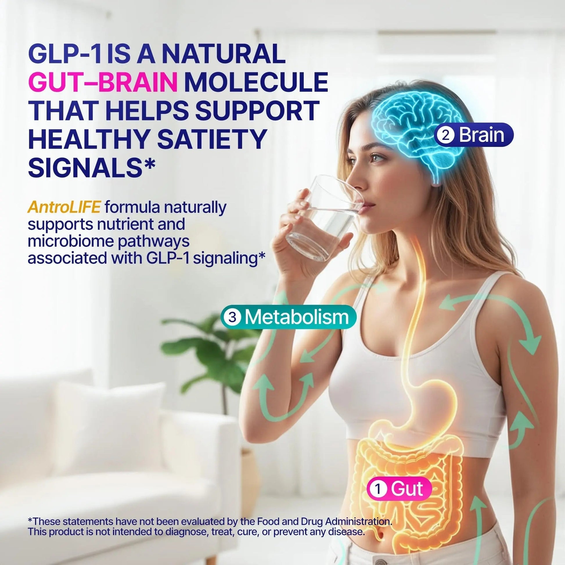 GLP-1 Support – Akkermansia Postbiotic 10B TFU + Berberine HCl 250 mg | 18-Ingredient System | Appetite, Mood & Metabolic Support | Inulin-Free | Saffron, NAD+ Cofactors | 3 Pack | 90-Day Supply - Maple Wellness Supplements