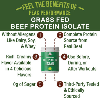 Grass Fed Beef Protein Powder - Lactose Free Great Tasting Beef Protein Isolate. Complete Animal Based Non Dairy Paleo Carnivore Supplement for Prime Muscle Building. No Whey. Chocolate Flavor - Maple Wellness Supplements