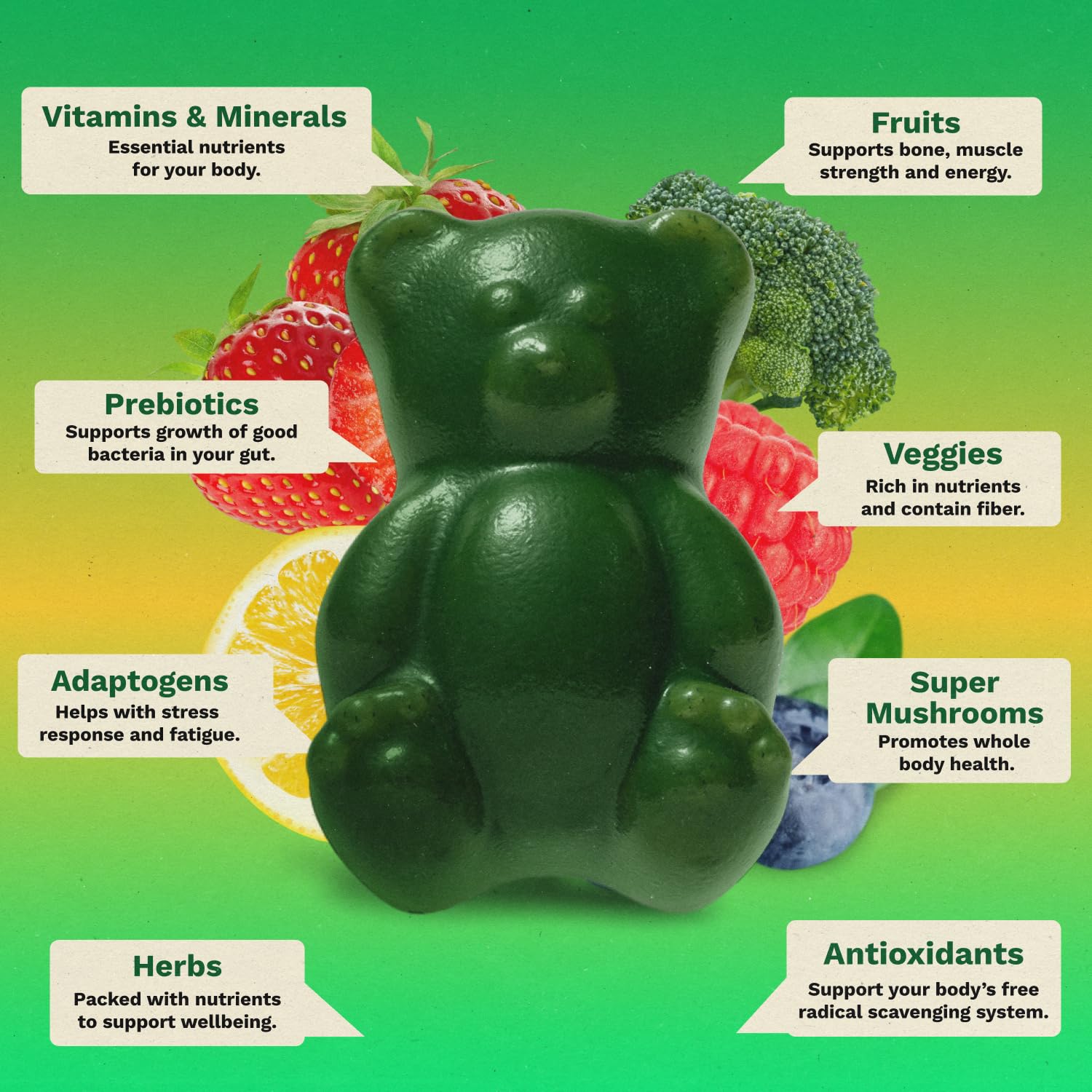 Gruns Adults Super Greens Gummies, Multivitamin Superfood Gummy Bears, Spirulina, Chlorella, Prebiotics & Fiber Gummies for Digestive Health - Maple Wellness Supplements