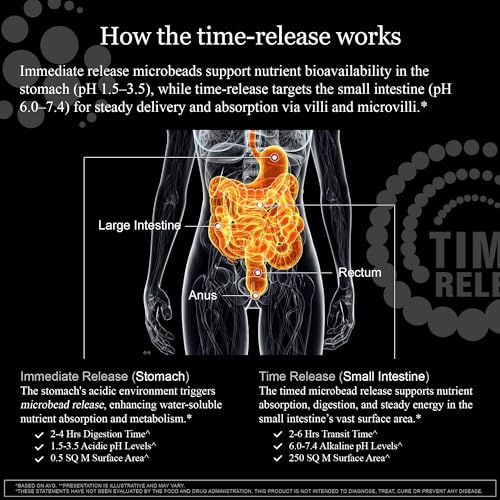 HCF A20 Microbead Brain Health Supplements for Adults for Memory, Focus, Calm, Mood, Alertness, Attention, Vision, Sleep, Immune System, 20 Premium Nootropic Nutrients Multivitamin & 7 Advances® Tech - Maple Wellness Supplements