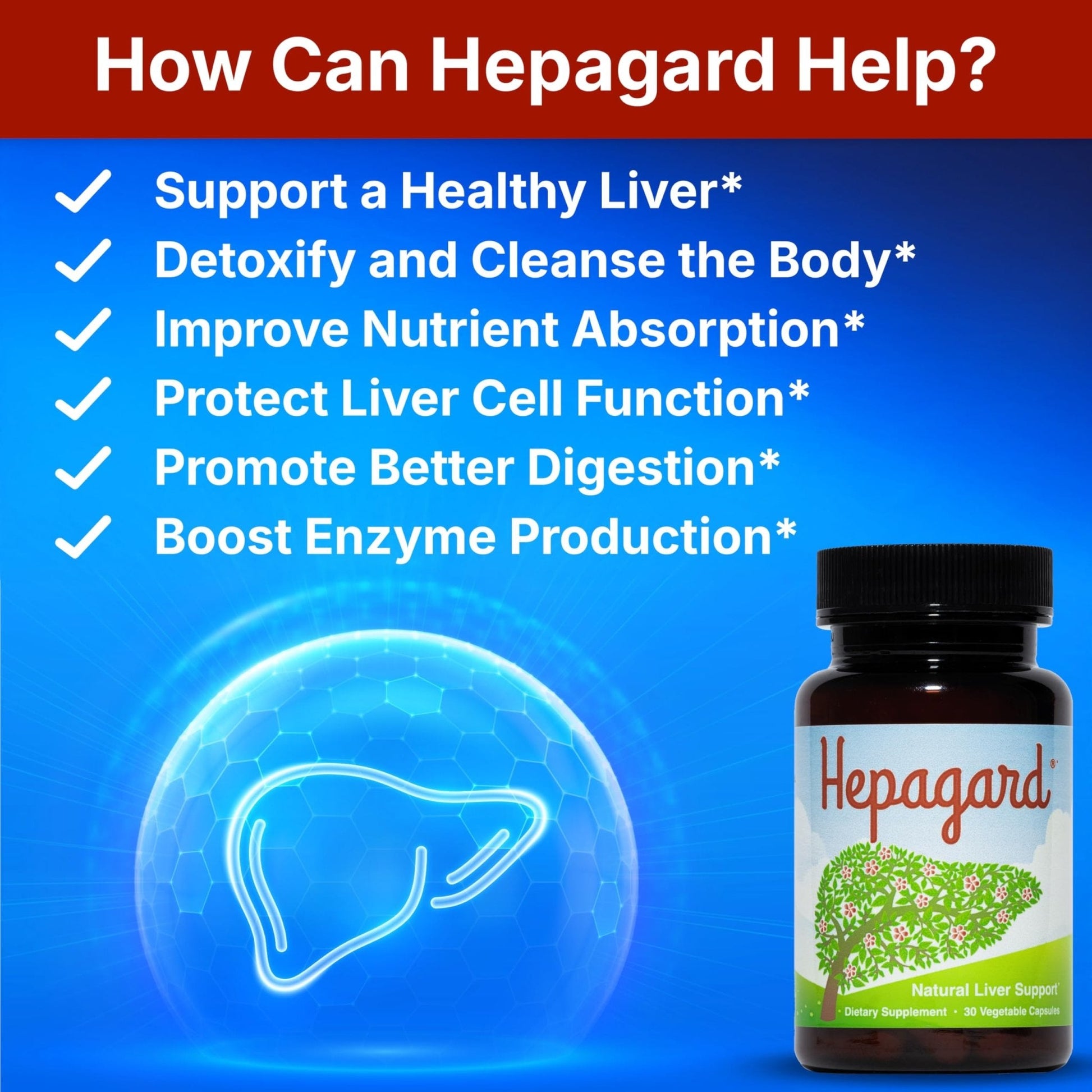 Hepagard - Natural Liver Support Supplement with N-Acetyl Cysteine (NAC) - Non-GMO, Vegan, Gluten-Free - Maple Wellness Supplements