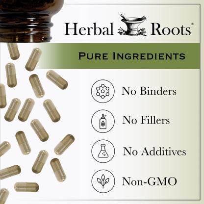 Herbal Roots Organic Ginkgo Biloba Made with Pure Organic Ginkgo Leaf and Extract - 60 Vegan Capsules - Maple Wellness Supplements