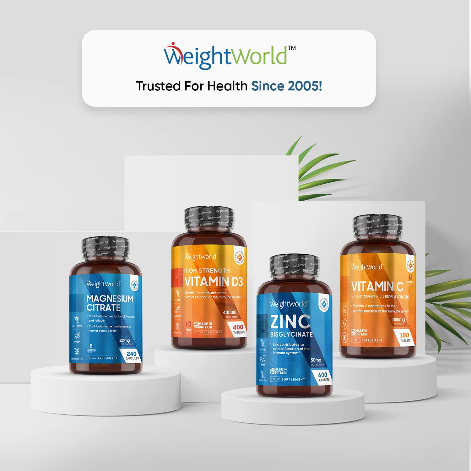 High Strength Zinc Tablets 50mg – 400 Vegan Zinc Bisglycinate Tablets 6+ Months - Maple Wellness Supplements