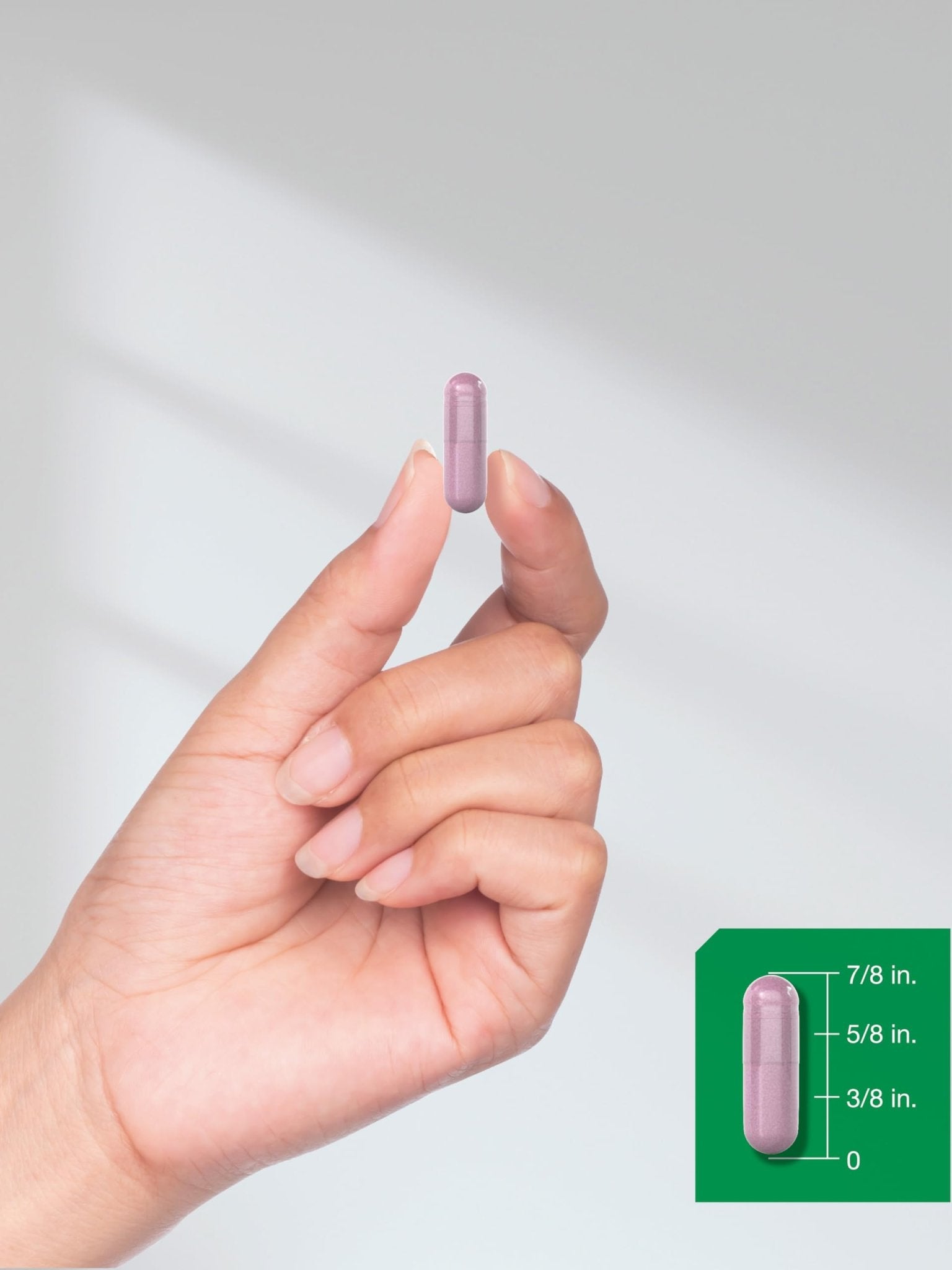 Horbäach Beet Root Powder Capsules | 220 Pills | Herbal Extract | Non-GMO, Gluten Free Supplement - Maple Wellness Supplements