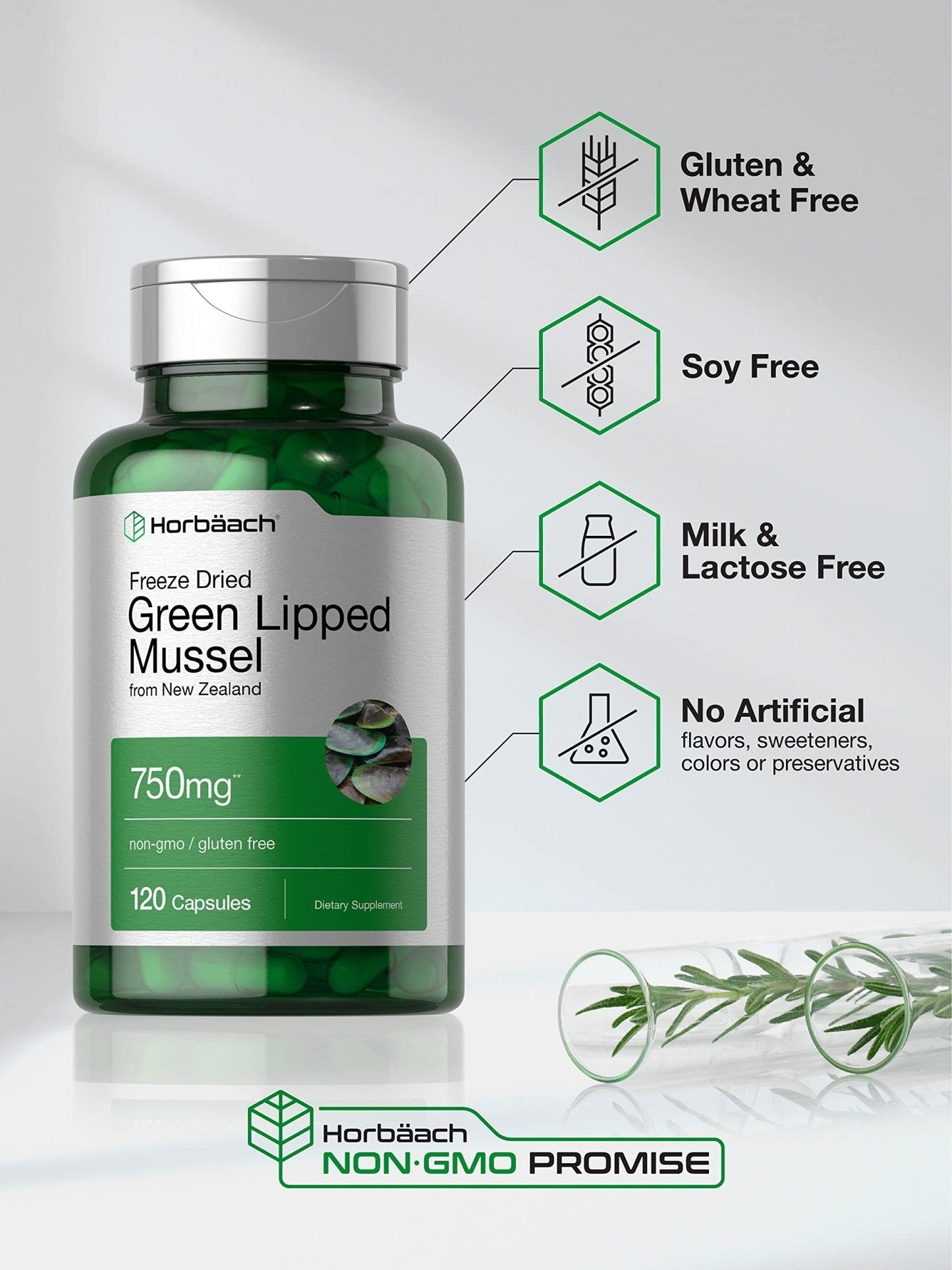 Horbäach Green Lipped Mussel |120 Capsules | from New Zealand | Premium Freeze Dried Mussel Powder - Maple Wellness Supplements