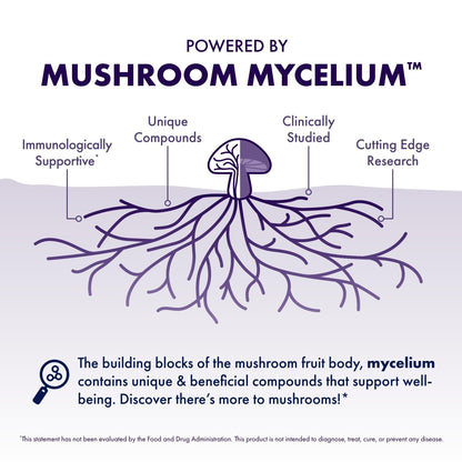 Host Defense Mushrooms Lion's Mane - Supplement Capsules for Brain Health Support - Mushroom Support for Focus & Memory Function - Maple Wellness Supplements
