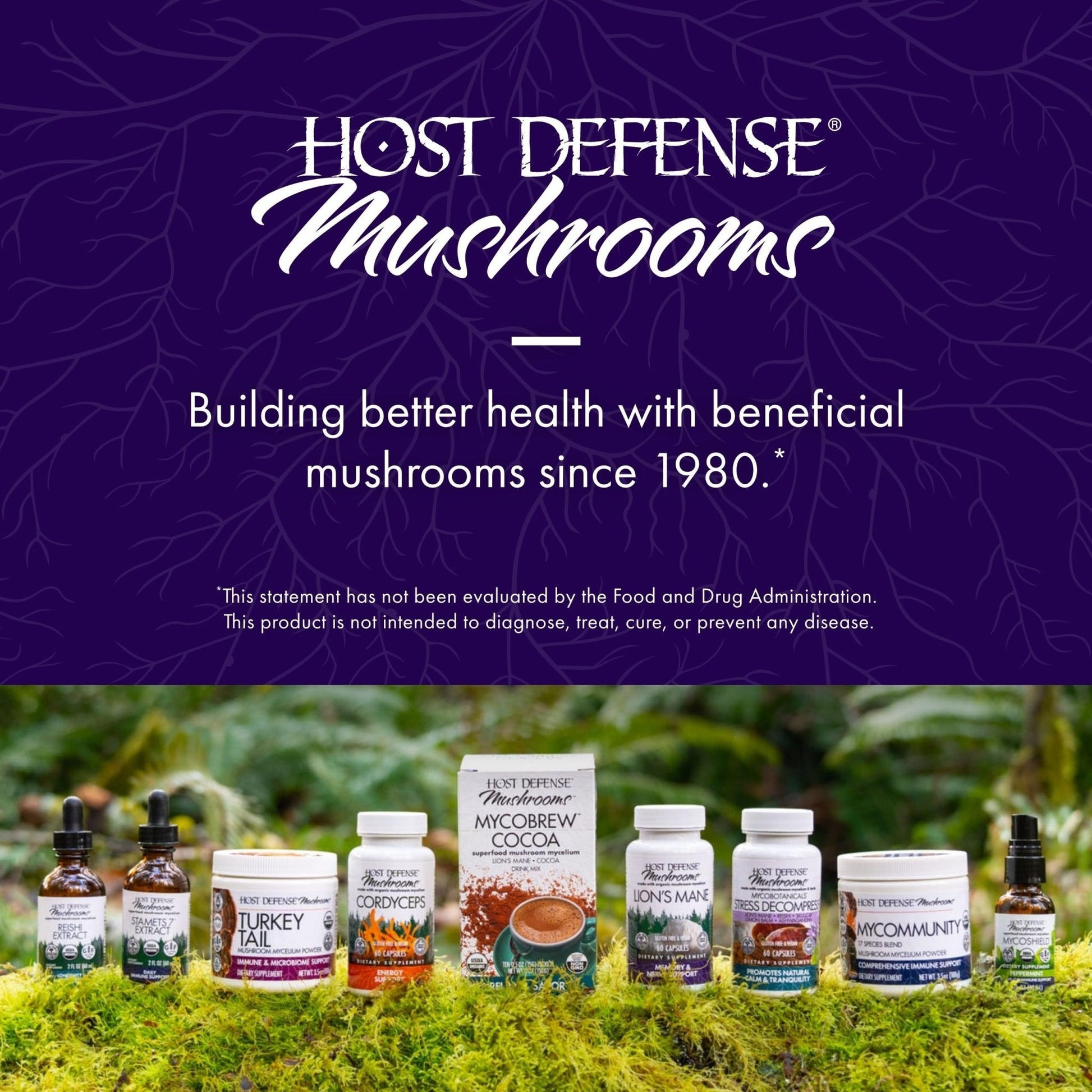 Host Defense MycoBotanicals Brain* Capsules - Brain Support Supplement with Lion's Mane, Reishi & Cordyceps Mushroom - Herbal Supplement for Memory & Focus Support - 60 Capsules - Maple Wellness Supplements