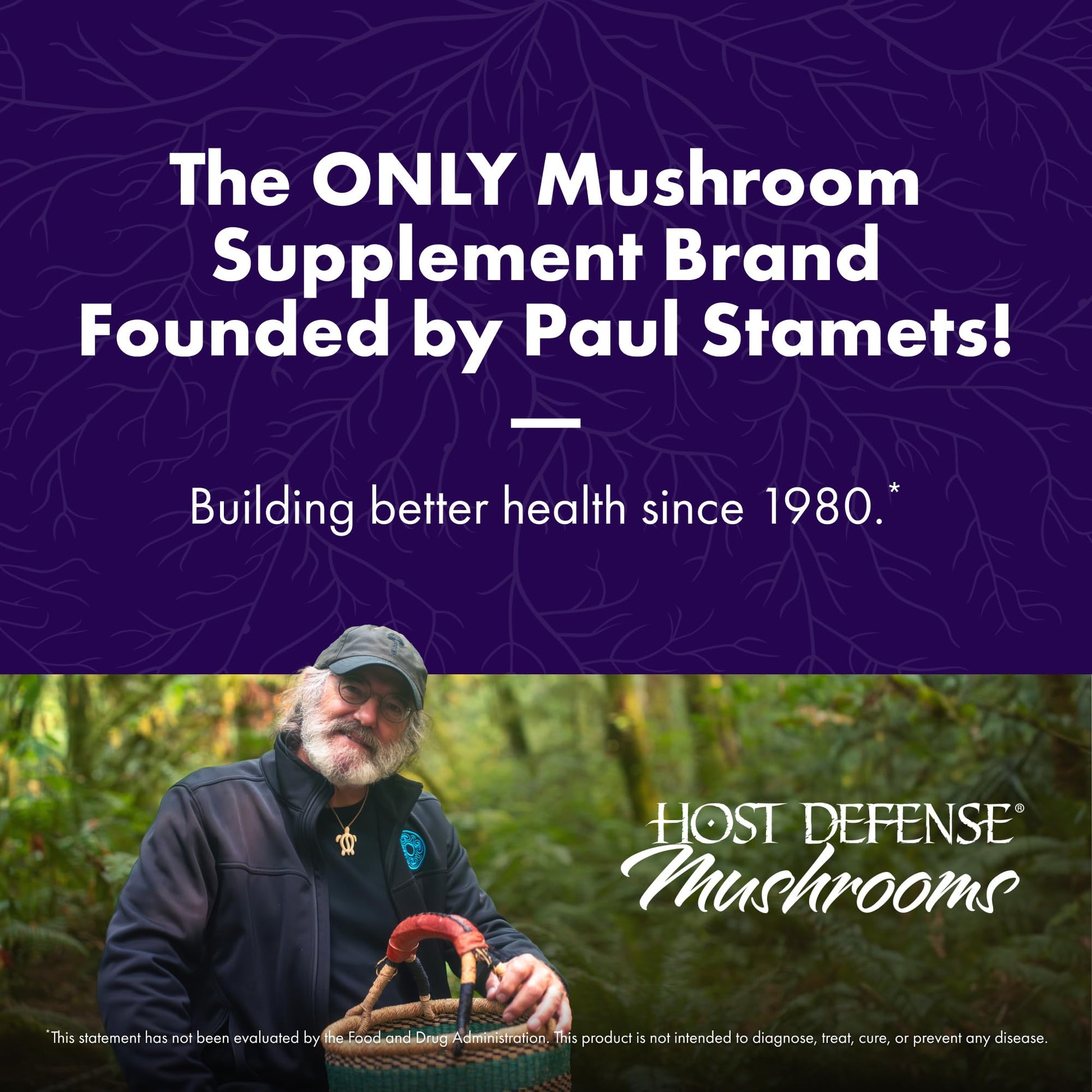 Host Defense MycoBotanicals Brain* Capsules - Brain Support Supplement with Lion's Mane, Reishi & Cordyceps Mushroom - Herbal Supplement for Memory & Focus Support - 60 Capsules - Maple Wellness Supplements